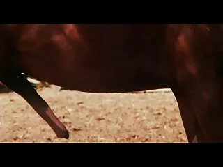 संकेत और हिंदी सेक्सी भारतीय वीडियो